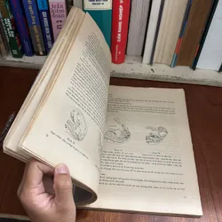 II Sách Y Học: Bài Giảng _ Sản Phụ Khoa - 1992 602627
