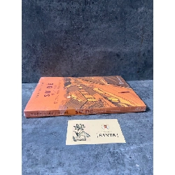 Sư đệ- Trần Việt Trung- sách lưu kho còn seal,giấy xốp ố nhẹ 788728