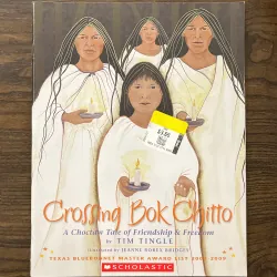 ✨𝑪𝒓𝒐𝒔𝒔𝒊𝒏𝒈 𝑩𝒐𝒌 𝑪𝒉𝒊𝒕𝒕𝒐✨