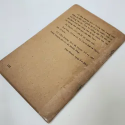 NỢ TÌNH (Hồ Biểu Chánh) 790414