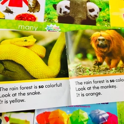 Bộ sách Nonfiction sight word readers 4 levels 466267