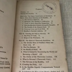 The compassionate Buddha 976049