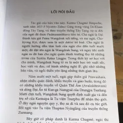 Tánh Giác Lộ Toàn Thân 1021463