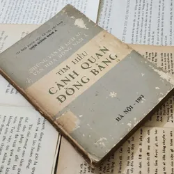 NHỮNG VẤN ĐỀ LỊCH SỬ VĂN HÓA ĐÔNG NAM Á - TÌM HIỂU CẢNH QUAN ĐỒNG BẰNG 707215