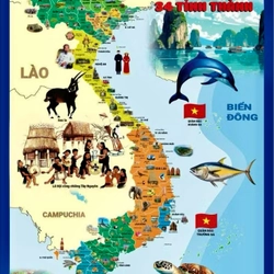 Bộ tranh dán tường bản đồ, lược sử Việt Nam và Thế Giới