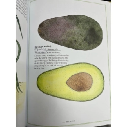 Thế giới rau củ quả bằng tranh - Virginie Aladjidi, Emmanuelle Tchoukriel