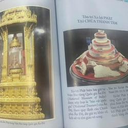 Cẩm Nang Đại Lễ Vesak LHQ 2025 444715