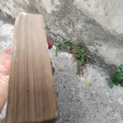 Về vấn đề xác định thành phần các dân tộc thiểu số ở miền Bắc Việt Nam  1019173