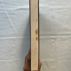 The Book of V. - Anna Solomon 760920