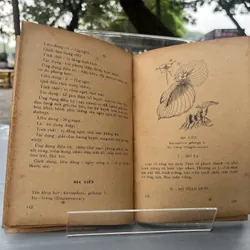 HƯỚNG DẪN TRỒNG SỬ DỤNG THUỐC NAM CHÂM CỨU 589787