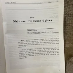 Kinh tế học vi mô - ROBERT S. PINDYCK DANIEL L. RUBINFELD 958182