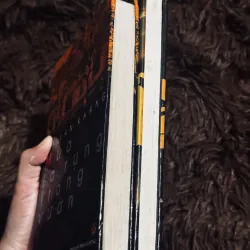 Combo 2 cuốn văn học Việt Nam (bìa cứng) 995033