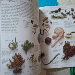 Động Thực Vật Ở Sông Hồ 993247