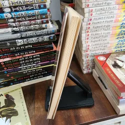 Một mùa thơ dại Higuchi Ichiyo 749603