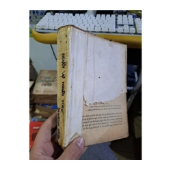 Người vợ người tình