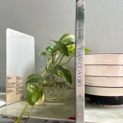 Đàn của gió 784225