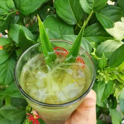 Rong sụn biển muối khô hàng loại 1 cọng to, dày dùng làm nước mát, sâm bổ lượng, trộn gỏi 753643