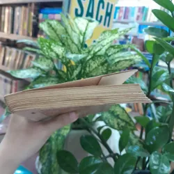 LỤC VÂN TIÊN - NGUYỄN ĐÌNH CHIỂU 1042800