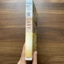 Trốn chạy - Alice Munro 975001