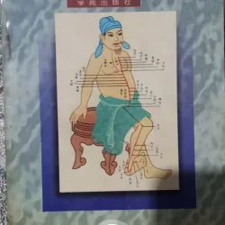 kỹ thuật huyệt đạo - bản tiếng trung 972409