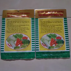 Hạt giống rau  1027558