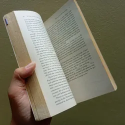 In the realm of hungry ghost, sách ngoại văn tiếng Anh, english book, tiểu thuyết  603477