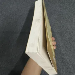 Địa lý hành chính các tỉnh Nam Kỳ thời Pháp thuộc (1859-1954) - Nguyễn Đình Tư 749127