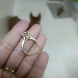 Combo bông nhẫn  558723