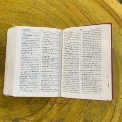  BOXSET TỪ ĐIỂN VIỆT - HÀN bìa da 1002950