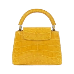 Túi xách Louis Vuitton Exotic Leather Capucines MINI N93164 619617