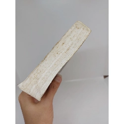 Tiểu thuyết Việt Nam thời kỳ đổi mới mới 80% bị ố vàng 2004 HCM.ANTQ1509 912267