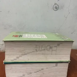 ĐẠI TỪ ĐIỂN ANH-VIÊT & VIỆT-ANH-VIETNAMESE-ENGLISH &ENGLISH- VIENAMESE DICTIONARY 729814