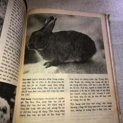 Bách khoa minh hoạ bằng hình ảnh - Thế giới động vật  779595