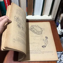 II Sách Y: Niệu Học _ Phẫu Thuật Niệu Quản (Tập 5) - Ngô Gia Hy - 1985 720611