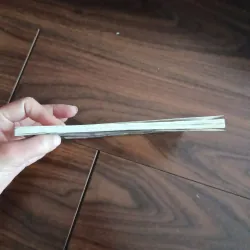 Những người thân trong gia đình bác hồ 761799