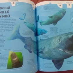 Băng - Những Câu Chuyện Ly Kỳ Từ Một Thế Giới Đang Dần Biến Mất 1009870