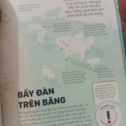 Băng - Những Câu Chuyện Ly Kỳ Từ Một Thế Giới Đang Dần Biến Mất 1009870