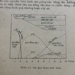 Huyết học, tập 1-2, Nhà xuất bản Y học 709174