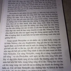 Thần thoại Hi Lạp 993727