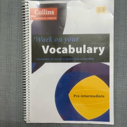 Work on your Vocabulary A2 109870