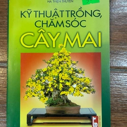 Kỹ thuật trồng chăm sóc cây mai (k1)