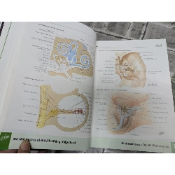 Atlas Giải Phẫu Người - Frank H.Netter. MD 360688