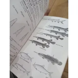 Freshwater fishes - Lawrence M. Page, Brooks M. Burr 569512