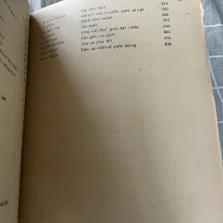 Truyện ngắn Việt Nam 1945-1985, sách khổ lớn , mọt ăn ít trang không ảnh hưởng chữ  795552