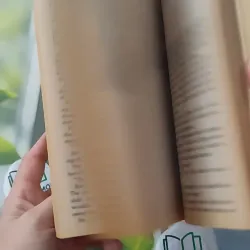 Highlander Most Wanted - Maya Banks 1027497