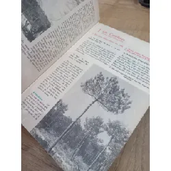 Sciences naturelles 5e