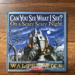 Can You See What I See? On a Scary Scary Night: Picture Puzzles to Search and Solve