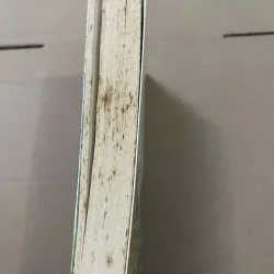 Kế hoạch của con trai 1008349