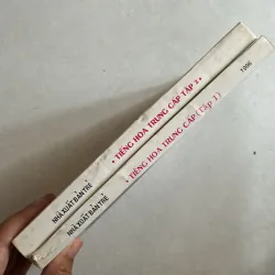 Giáo trình Tiếng Hoa trung cấp (Bộ 2 tập) 977749