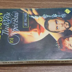 Tiểu thuyết SALOMON TÌNH YÊU & KHO BÁU - Jay Williams 776854